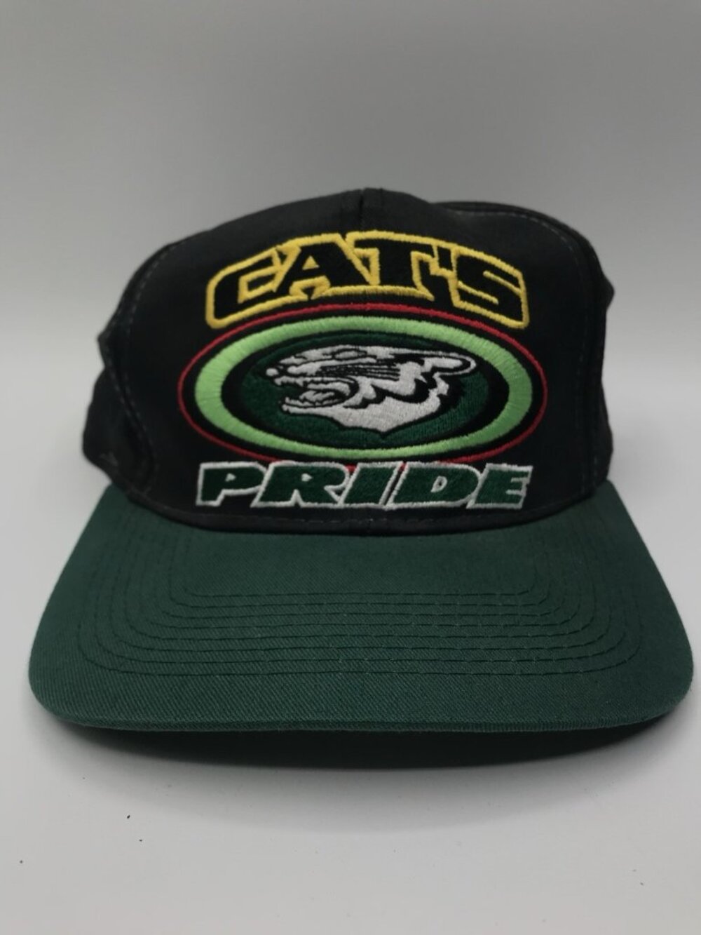 Vintage 2000 Y2K Arctic Cat Cat's Pride Hat Snapback Black Green Snowmobile